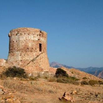 Janovská středověká strážní věž
