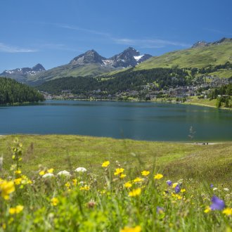 jezero St.Moritz, St. Moritz Tourismus AG,Christof Sonderegger