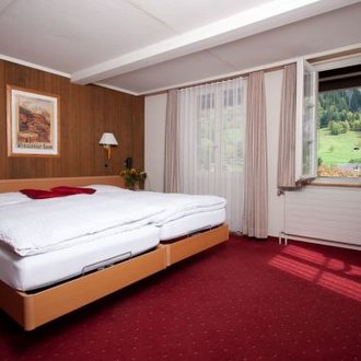 Hotel Oberland 20